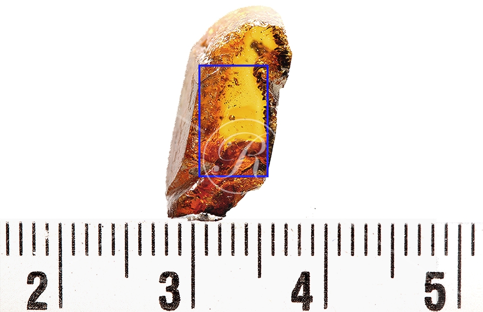 Watermark_193_N109éch.jpg