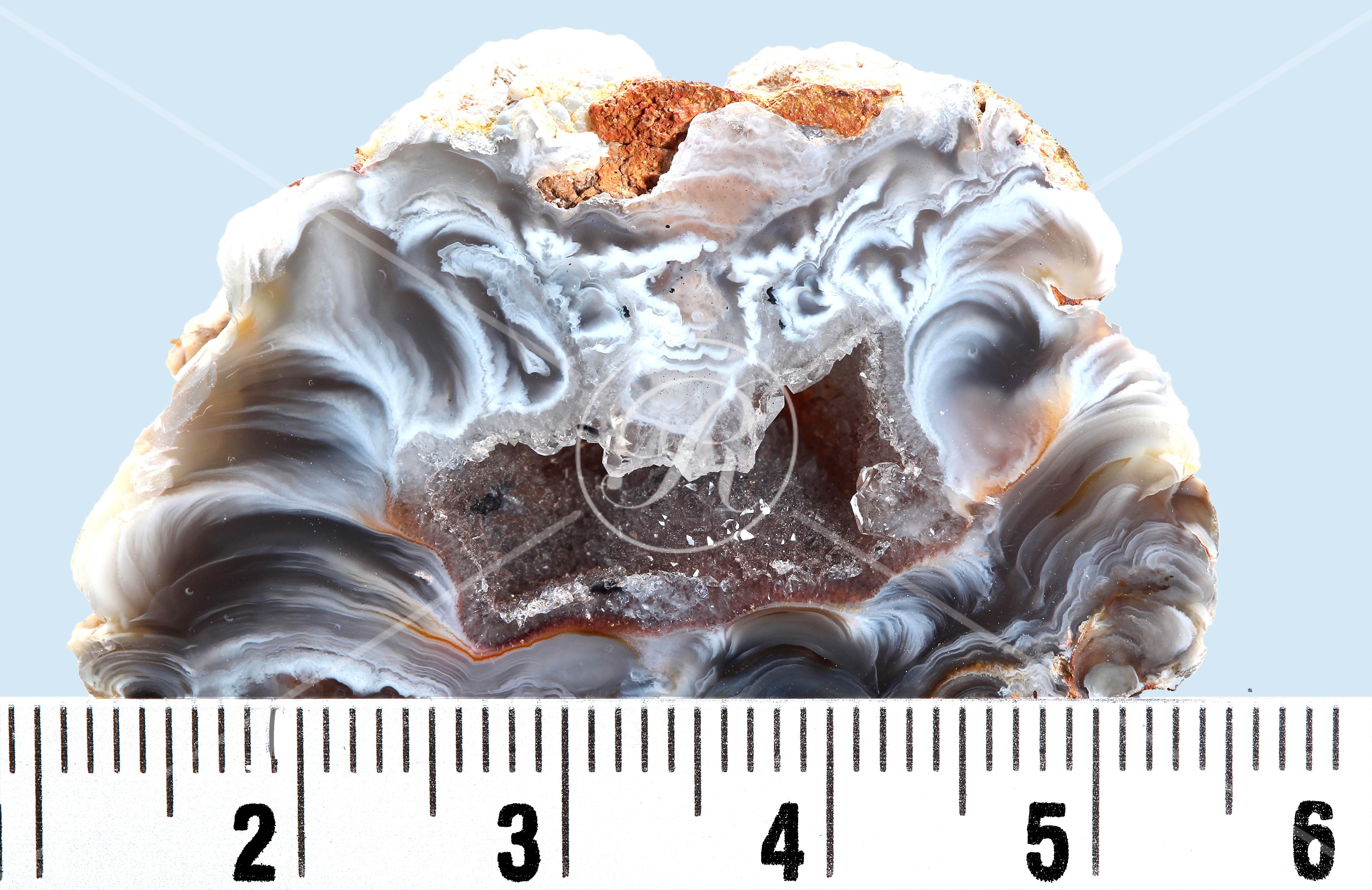 Watermark_225_N81éch.jpg