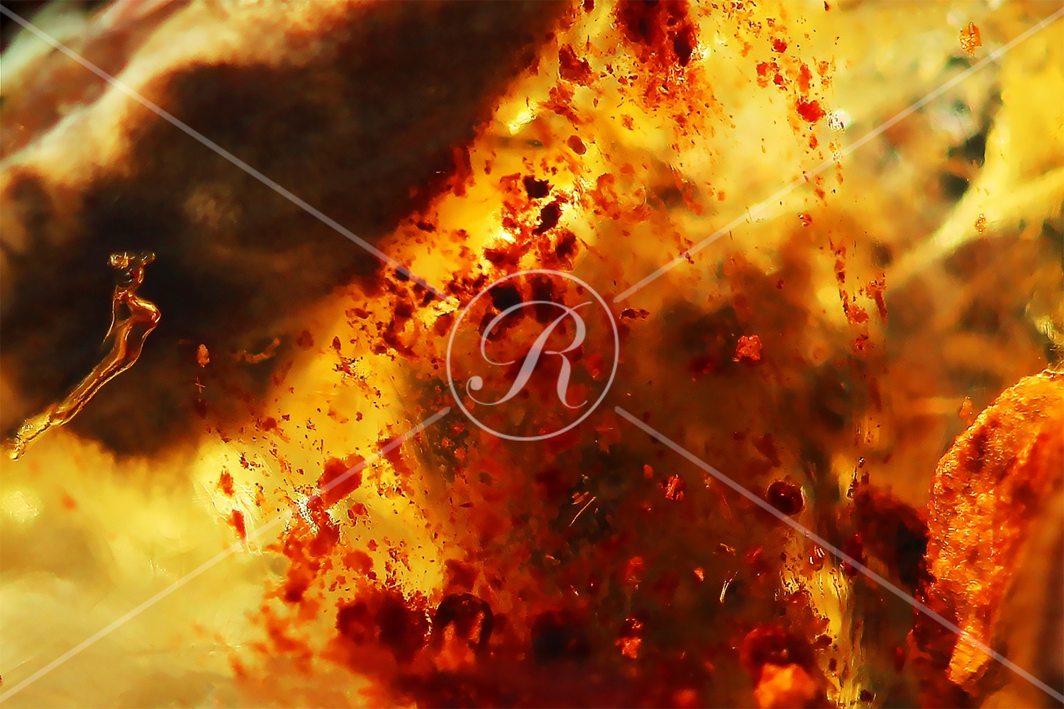 Watermark_229_N70.jpg